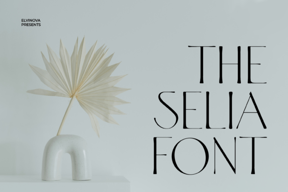 How Selia Transformed My Brand’s Visual Identity